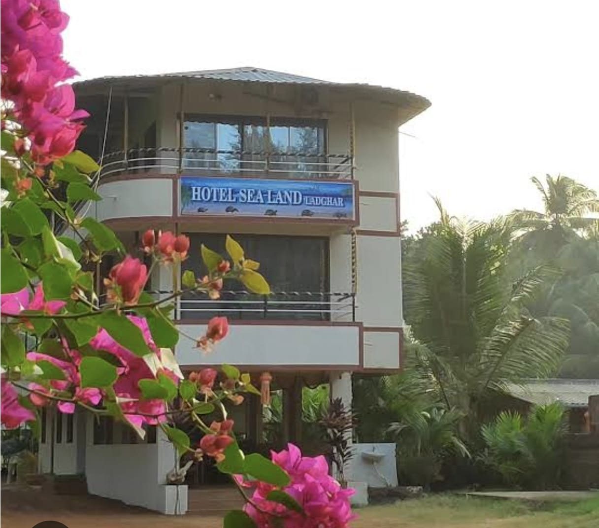 Hotel Sealand building behind pink bougainvillea flowers
