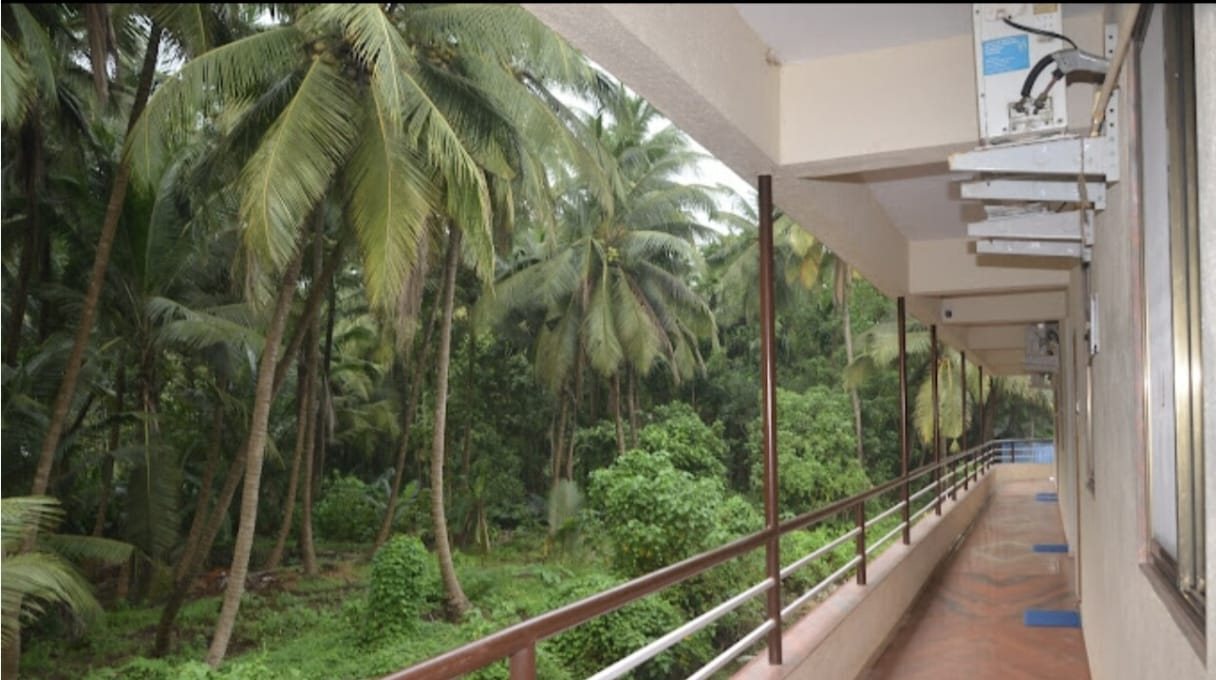 Open corridor overlooking a grove of coconut palms